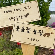 각인인쇄 텃밭표찰 경고 표지판 문패 원목팻말, 쿠팡 중