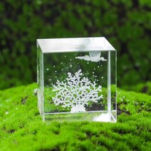 해양 생물 큐브 크리스탈 작은 미니 장식품 사무실 데스크탑 문진, 4cm 사각 화려한 산호 (작은 선물 가방 보내기)