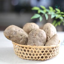 친환경 유기농 열대둥근마 황진이농장 [산지직송] 특품 2kg 3kg 5kg 10kg, 중품