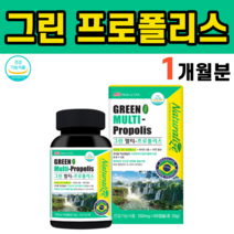 브라질 그린프로폴리스 비타민 아연 츄어블 구강 항균 유산균 배양물 플라보노이드 비타민 A B2 C D E 프로폴리스 항산화음식 에리스리톨 로얄젤리 리소짐 페퍼민트맛 액상형, 1병(60캡슐)