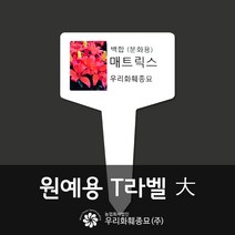 우리화훼종묘 T자형 라벨 (식물라벨 이름표) 중사이즈-100개입