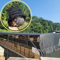 씌우는 얼굴모기장 아미그린 양봉모자 벌 낚시 방충