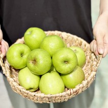 정품 썸머킹 아오리 꼬마과 2kg 14-16과 여름햇사과