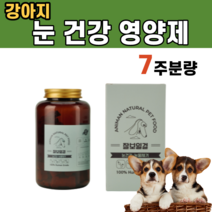 강아지 반려견 눈 건강 안구 건조 질환 시력 회복 결막염 완화 망막 유지 소간 비타민A B1 B2 베타카로틴 안토시아닌 폴리페놀 칼슘 마그네슘 당근 블루베리 레티놀 황태 말티푸, 1통