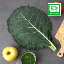 자연에서바로 건강한 친환경 유기농 케일 즙용 1kg 2kg 3kg 5kg 케일주스