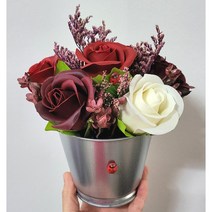 비누꽃 장미 DIY 키트