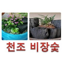 천조비장탄/ 공기정화숯 냄새제거숯 제습숯 10kg