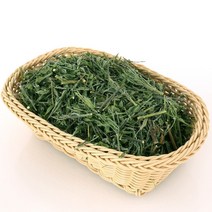 국산 말린 건조 비수리 야관문 600g