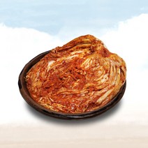 오늘애푸드 프리미엄 매운 실비김치, 10kg