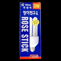 신광 장미전구 30W(주광색)