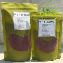 백년초 분말 대용량 500g, 백년초열매분말