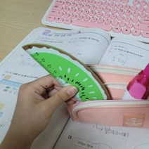 과일모양자 키위 디자인 15cm 자, 단품, 상세페이지 참조