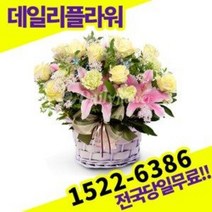연노랑장미혼합 꽃바구니 꽃배달서비스 당일배송