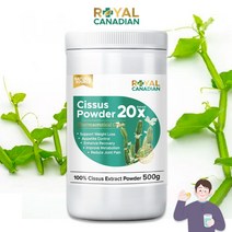 카카파파 캐나다 시서스 가루 20배농축 추출물 케토스테론 분말, 500g, 1병, 500g
