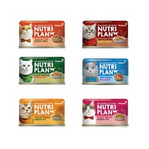 동동이네 고양이 캔 동원 뉴트리플랜 캣 캔 160g 6종 중 택1 배변활동 도움 그레인프리 고단백 습식 통조림 캔간식, 1개, 흰살참치와 멸치