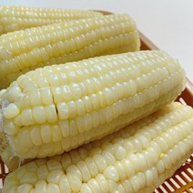 소나무상사 냉동 삶은옥수수 백찰 무첨가 40개 중국산