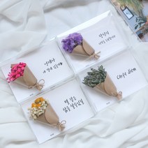 드라이플라워 카드 모음전(+문구)/가로형 엽서/생일 감사 기념일편지 메시지, 문구추가 20자이내, 23. 미스티블루(보라)