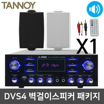 탄노이 DVS4 벽걸이 벽부형 회의실 강의실 스피커 1
