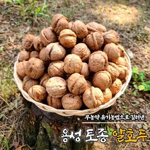 국산 토종 알 호두 500g 1kg 국산 햇호두 김천호두 호도, 국내산 토종호두 (특대)1kg(호두까기포함)