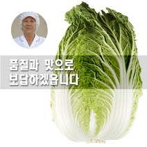 알배기 괴산절임배추 20kg/15포기이상 작은포기 /달달고소, 3월 14일발송-15일도착