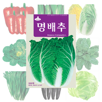 배추 고추 파프리카 씨앗 25종, 레드파프리카 10립