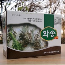 국내산 와송즙 와송엑기스 100ml x 60p, 2박스