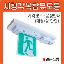 시청각 복합유도등 음성경보기 (시각경보 음성안내) / 대형/양단면