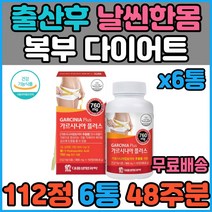 중년 여성 녹차 마테차 다이어트 피하지방 내장지방 체지방 감소 가르시니아 HCA 체지방빼는법 살빼기 살 빼는법 예신 예비신부 임산부 산후 뱃살 아랫배 복부 똥배 빼기