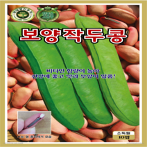 [OK씨앗] [[작두콩] 보양작두콩(10립)] 보양작두콩씨앗 작두콩씨앗 종묘 묘종 씨앗 채소씨앗 꽃씨앗(KS종묘)