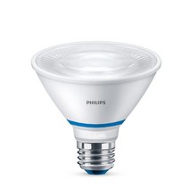 필립스 LED 식물등 식물 LED 전구 조명 램프 PAR30 10W 생장등 성장등, 필립스 PAR30 램프 10W (백색), 1개