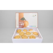 나주배원예농협 신고(특) 15kg, 1박스, 15kg(26-28과)