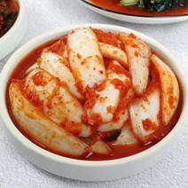 옥선김치 100% 우리 농산물로 만든 해남 별미김치 1kg 8종, 양파김치 1kg