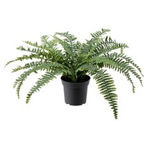 이케아 페이카 인조식물 실내외겸용 고사리 41cm 화분지름15cm