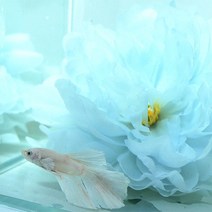 베타 실크 플라워 베드 꽃침대 연블루, 1개
