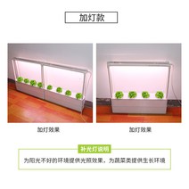 가정용 식물재배기 수경재배기 식물 재배기 베란다 채소 수조기 무토재배설비 토마토오이 재배수경채소 가정, 옵션02, 크다