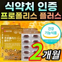 식약처 인증 프로폴리스 프로플러스 프로볼리스 폴라폴리스 폴리폴리스 프로폴리 플라보노이드 환절기 세포 보호 면역력 항산화 도움 알약 캡슐 / 알 약 케이스증정 일양약품, 2개월 / 2박스