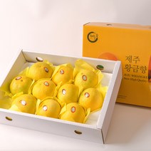 [옴마품]꿀당도 제주 황금향 5kg(12-20)-선물용 포장