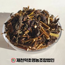 국산 자소엽 500g 제천약초영농조합, 1, 500