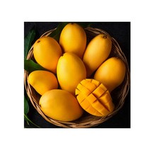 태국 골드망고 상콤달콤한 열대 과일의 여왕 2 5kg 5kg, 2.5kg, 1개