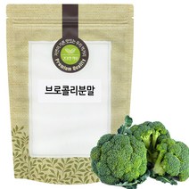 브로콜리 분말 가루 500g 국산 국내산, 단품