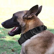 도매창고 전술목줄 훈련용목줄 목줄, 블랙