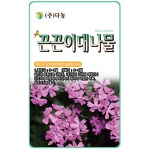 꽃양귀비 1g - 야생화 씨앗 꽃씨 씨 꽃씨앗 양귀비 개양귀비 다년생꽃씨 여러해살이 야생화씨 야생화씨앗 꽃, 10_다농_끈끈이 대나물(1g)