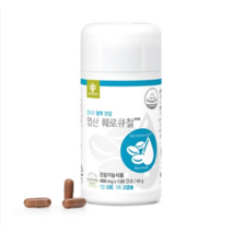 하이리빙 엽산훼로큐철 엽산+철분 철분제
