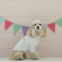 초코디 강아지 티셔츠 초코티, 화이트