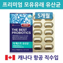 모유유래 유산균 포스트바이오틱스 프로바이오틱스 프리바이오틱스 가루 분말 캡슐 락토바실러스 가세리 람노서스 17종 LGG 500억 100억보장 임산부 여성 청소년 식약처 인증, 5박스
