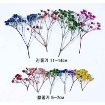 수앤로즈플라워 유칼립투스 미스티블루 모음 드라이플라워 리본모음 프리저브드 데코활용 사진촬영 말린꽃 디퓨저재료 하바리움재료 초대장만들기 청첩장만들기 예쁜리본, 안개꽃, 퍼플