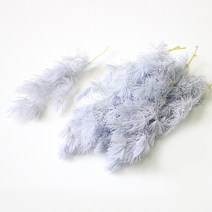 아스파라거스 미리오 프리저브드플라워 - 보존화 DIY재료 꽃꽂이 소재, 아스파라거스 스카이