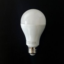 번개표 LED 12W 벌브 램프 전구 다마, 100개, 주광색