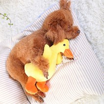 강아지 장난감 이갈이 대형견 애견 장난감, 1개, 옐로우