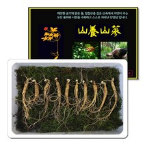 삼바이 산양산삼 5-6년근 선물세트 산삼 산양삼 장뇌삼 인삼 면역력 기력보강 설날 추석 설선물 설명절 추석선물 추석명절 명절선물, 10Ea